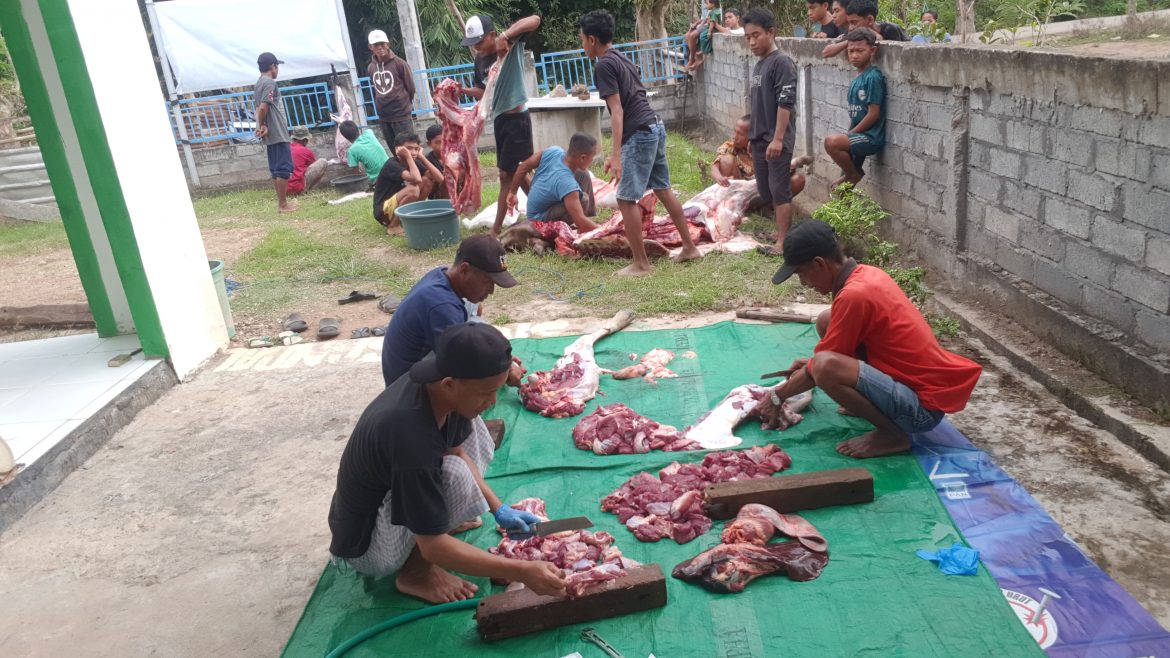 17 ekor hewan kurban disembelih di Desa Panda